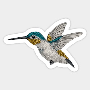 Hummingbird 4 Sticker